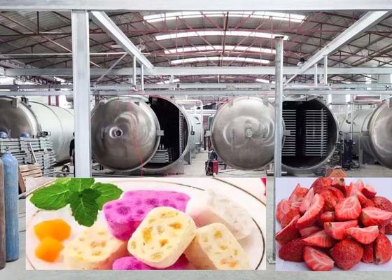 Seca congeladora grande de 1000 kg para resultados de secado rápidos y precisos de 20-24 horas