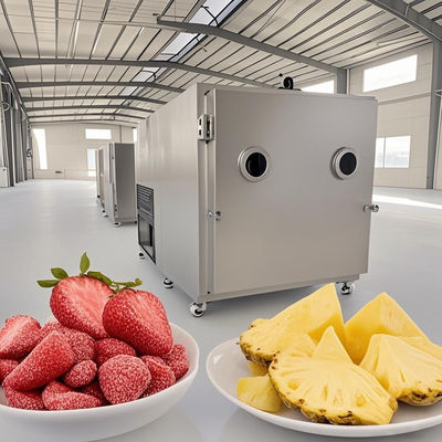 Equipo de secado de liofilizadores para alimentos industriales