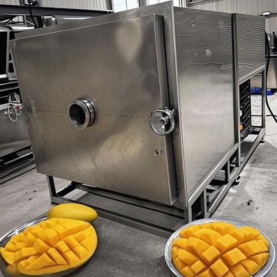 Máquina de liofilización de frutas y hortalizas liofilizador comercial de 100 kg de capacidad