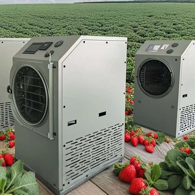 Máquina de liofilización para secador de congelación 6KG 10KG 20KG Conservación de alimentos en el hogar