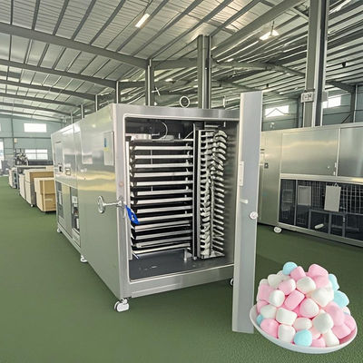 Liofilante a escala comercial 50 kg Sistema de liofilización industrial para productos lácteos y dulces