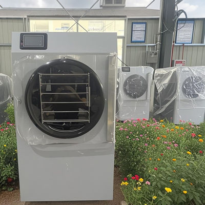 Tecnología Compacta Avanzada 20kg Para el hogar pequeño Secador de congelación Frescidad Eficiencia energética Mini Uso diario