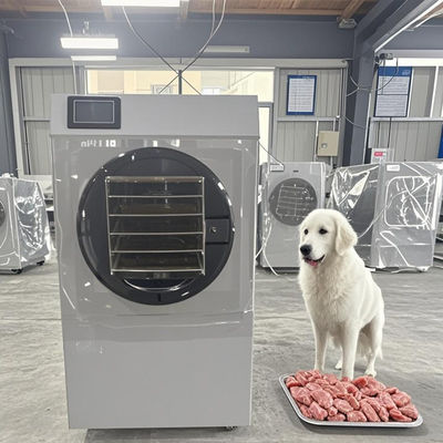 Seca de congelación para el hogar mediana de 6-8 kg hecha de acero inoxidable SUS304 con sistema de control PLC
