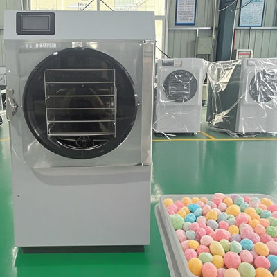 6 KG 10 KG 20 KG Secador rápido pequeño congelador para la conservación de alimentos instantáneos ahorrando espacio
