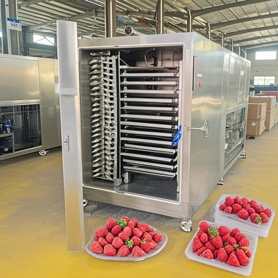 200 kg de lote de secador de congelación de control automático para la deshidratación de la carne / fruta