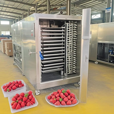 Máquina de secado por congelación industrial de acero inoxidable de 50 kg certificada CE para uso en laboratorio y fábrica