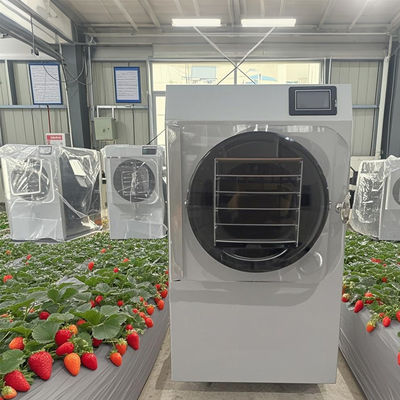 6 kg de expertos en I + D de secadores congelados para la producción de lotes pequeños con PLC de pantalla táctil