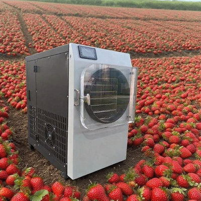 Liofilizador comercial con acero inoxidable 304 y bomba Bosch - Liofilizador de alta eficiencia