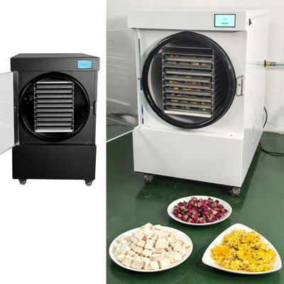 Liofilizador pequeño de 220V/50-60HZ fabricado en acero inoxidable SUS304 para secado