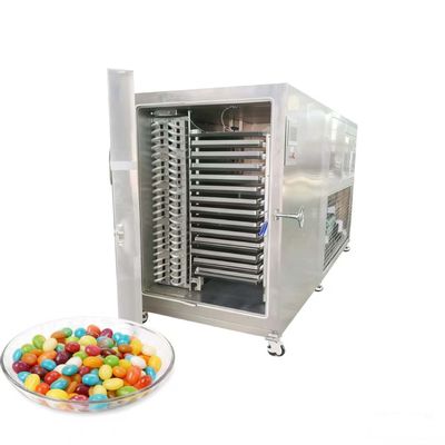 Commercial 50KG Lyophilizer for Sale - Reliable Freeze Dryer with Low Maintenance & High Uptime