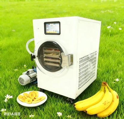 Frigorífico para secar fácilmente en casa Preserva la cosecha de tu jardín Fácil de usar, perfecto para jardineros