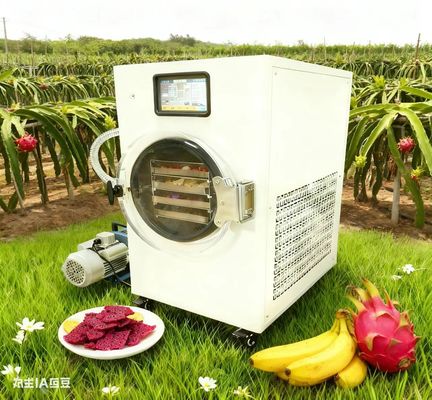 Construir su almacenaje de alimentos secador de congelación para familias Prepper público objetivo familias seguridad