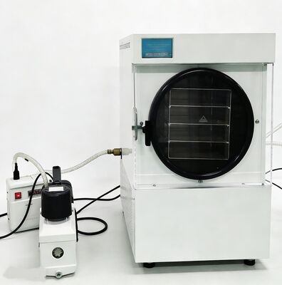 Máquina de secado por congelación para almacenamiento de alimentos a largo plazo Con un diseño eficiente y compacto