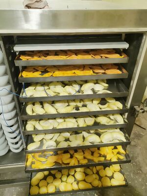 Unidad de refrigeración  Liofilizadora Potencia nominal 200KW Equipo de liofilización para la industria farmacéutica, alimentaria y química