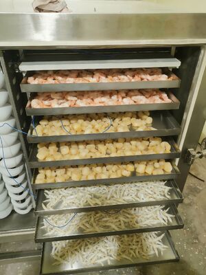 Secador industrial automático de congelación con capacidad de lote de 1000 kg ideal para la conservación de alimentos farmacéuticos y productos químicos