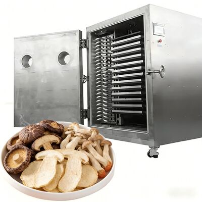 Liofilizadora Industrial con Nivel de Vacío Inferior a 13 Pa, Sistema de Control PLC y Acero Inoxidable 304 para Rendimiento