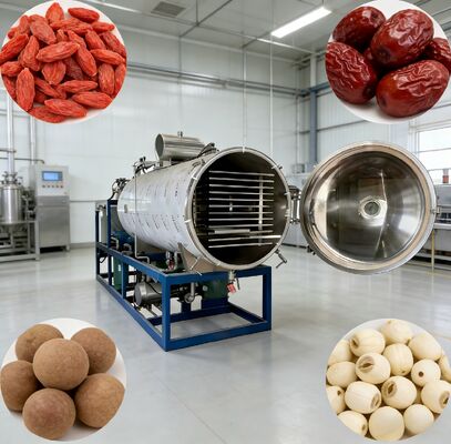Sistema de control PLC Máquina de congelación a vacío que ofrece cámara tamaño 12700 2600 3300mm perfecto para las industrias farmacéutica alimentaria y química