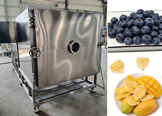 Liofilizadora de alimentos al vacío con temperatura de liofilización de menos 40 a 80 grados, con acero inoxidable de grado alimenticio 304 y tamaño de 3800 1550 1850 mm