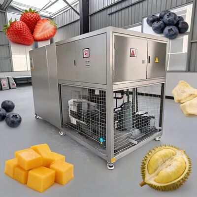 Equipo de enfriamiento por aire para liofilización al vacío de alimentos  o Leybold para liofilización y almacenamiento de alimentos