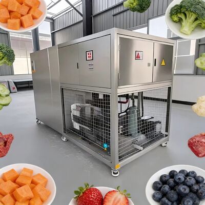 3800 1550 1850mm Secador de congelación de alimentos con vacío Sistema de control PLC 2600Kg Capacidad perfecta para secado de congelación de alimentos a gran escala