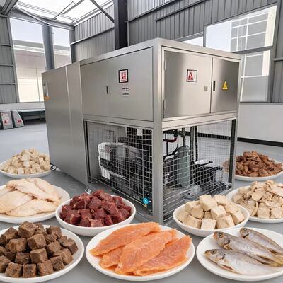 Liofilizador de vacío para alimentos con rango de temperatura de liofilización de menos 40 a 80 grados y bomba de vacío Baosi o  para operación