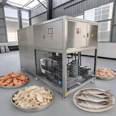 Secador de liofilización al vacío para alimentos de lote de 100 kg con bomba de vacío Baosi o , temperatura de liofilización de menos 40 a 80 grados Celsius