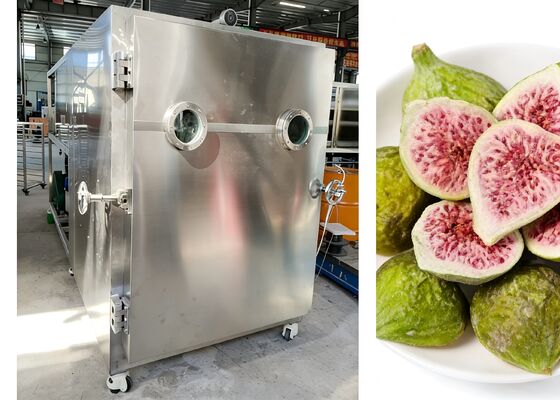 Tensión 380V 50HZ 3PH Secador de congelación de alimentos al vacío con acero inoxidable 304 de calidad alimentaria diseñado para mantener la frescura de los alimentos