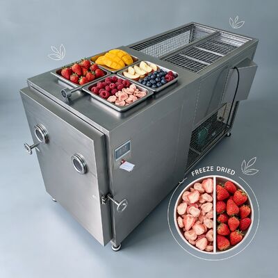 Sistema de control PLC Máquina de secado por congelación al vacío 220V380V3PH Ideal para secado por congelación de alimentos y productos químicos