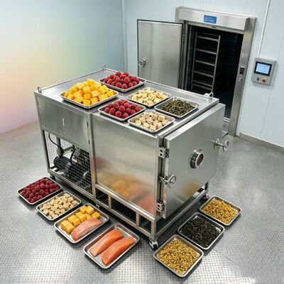 Liofilizador de verduras con consumo de energía de 10 kWH que incluye bomba de vacío de paletas giratorias de dos etapas diseñada para secado de verduras