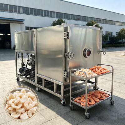 Liofilizador de verduras de tamaño total 3800 1700 2000 mm que incluye sistema de refrigeración por aire y 13 capas o personalización diseñada para la conservación de alimentos
