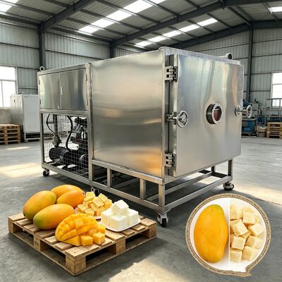 Material de bandeja de acero inoxidable 304 Secador congelador de verduras que ofrece un modo de operación automático que garantiza el rendimiento del secado congelado