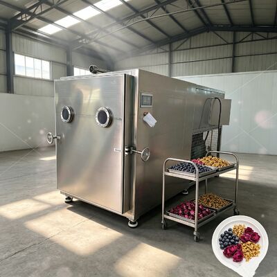 Overall size 3800 1700 2000 Mm Vegetable freeze dryer with Air Cooling system designed to enhance vegetable drying efficiency