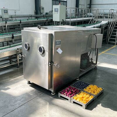 Bomba de vacío de válvula rotativa de dos etapas secador de vegetales congelador EXW Modo de operación automático diseñado para la deshidratación y la vida útil prolongada